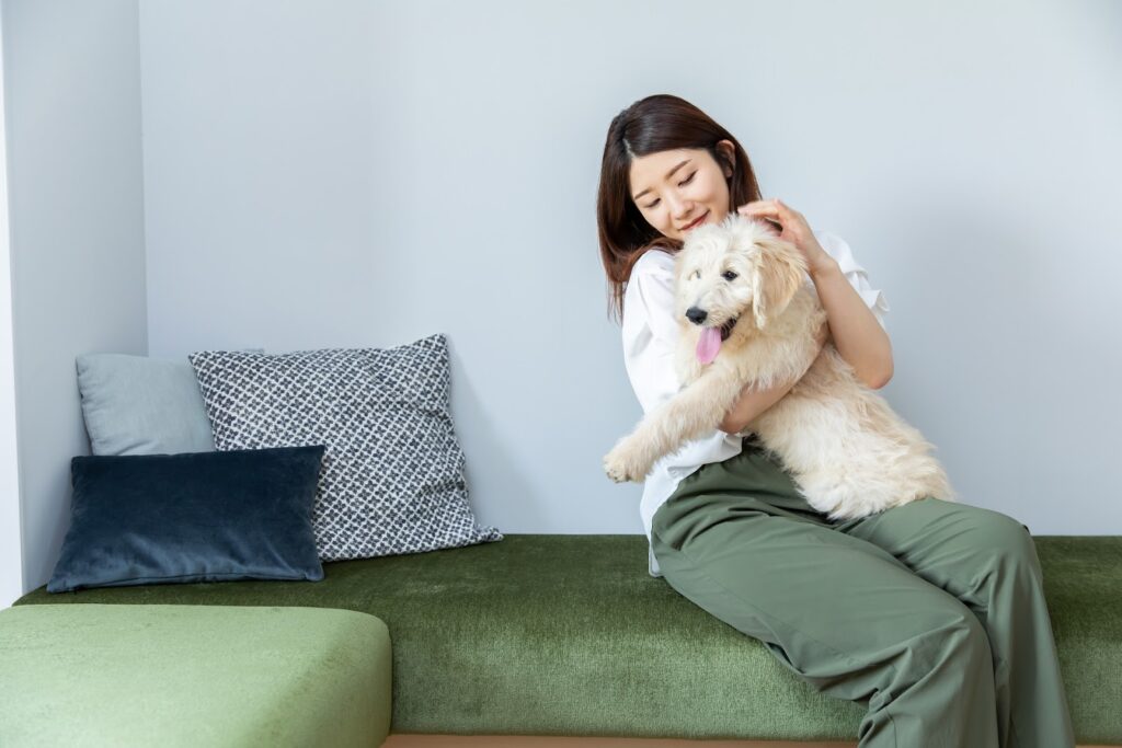 ソファーに座る女性に抱っこをされ頭を撫でられている犬