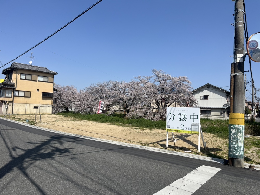 ココナラ新ノ口の現況画像