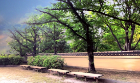 三の丸緑地/徒歩9分/車4分(約621ｍ)