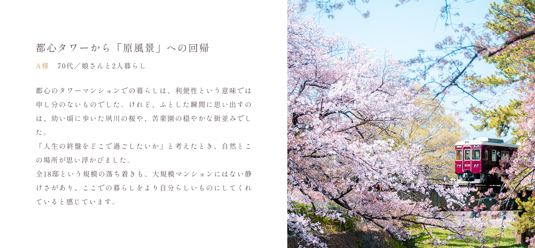 説明テキスト