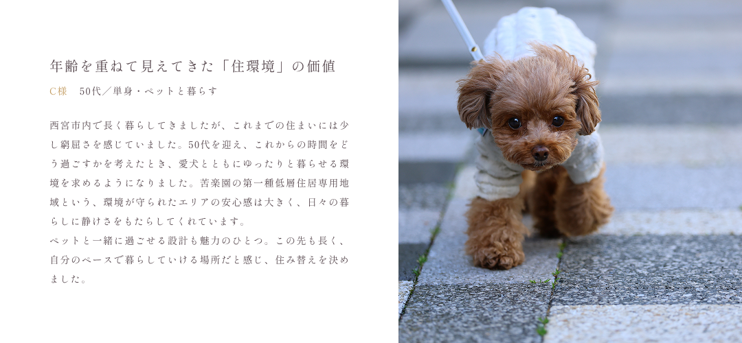 説明テキスト