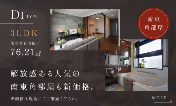 説明テキスト