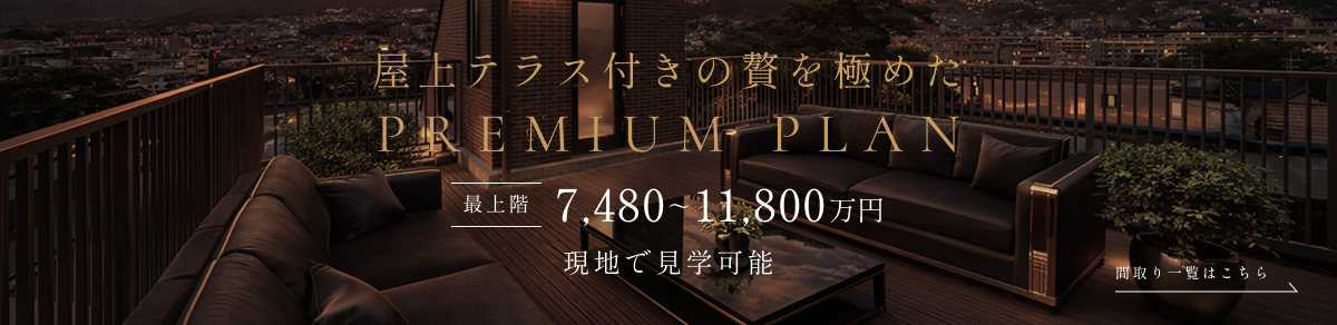 説明テキスト
